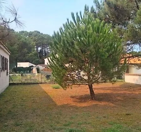 La Palmyre - Maison Individuelle - Quartier Residentiel- Jardin Arbore *