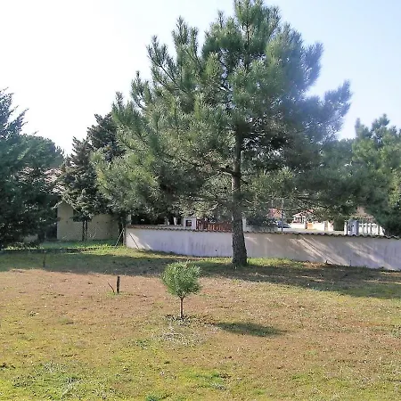 La Palmyre - Maison Individuelle - Quartier Residentiel- Jardin Arbore